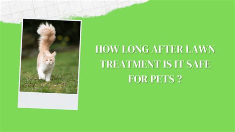 How long after lawn treatment is it safe for pets